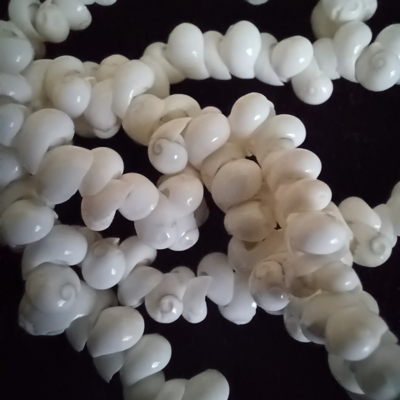 Shell necklace - Picture 4 of 4